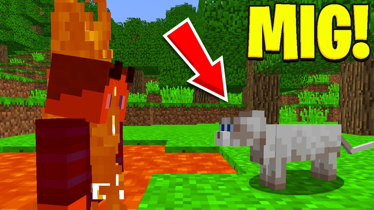 Pranker Judex Som Hans KÆLEDYR I Minecraft!