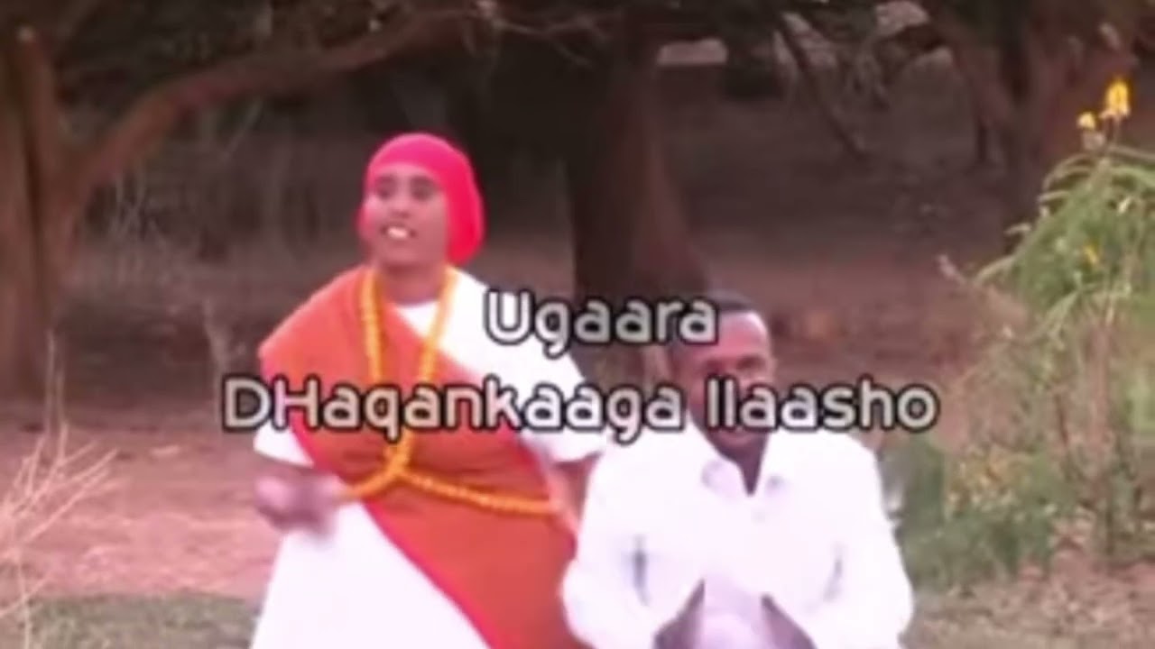 MAXAD KALA SOCOTAA QISADA JACAYL EE AHMED BUDUL IYO KAFEEYA SOO DHEXMARTAY 