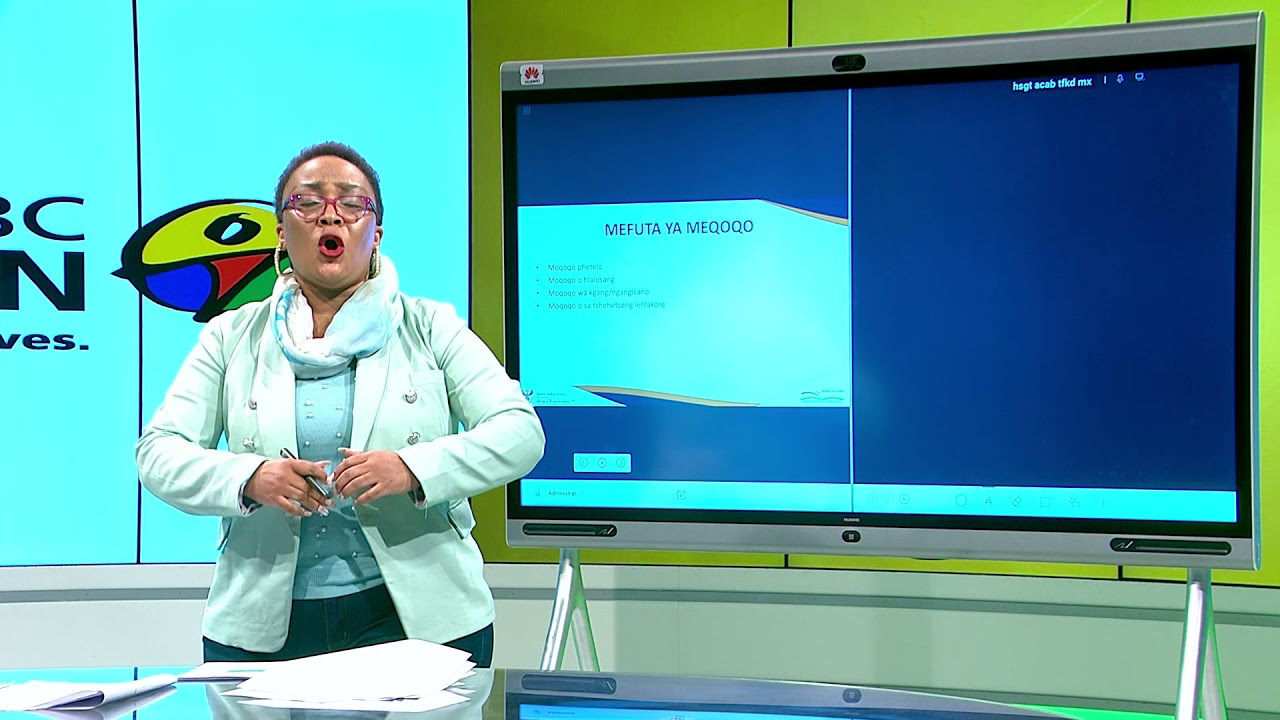 Mefuta ya Meqoqo