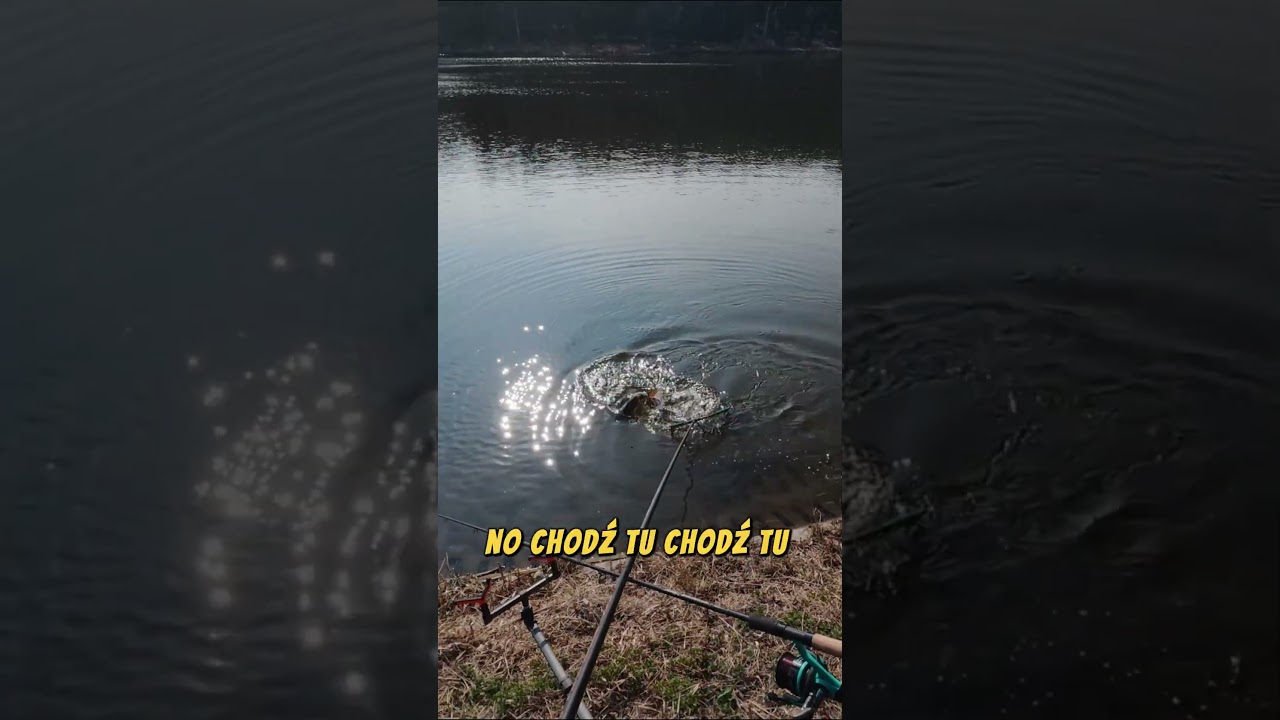 Ryba poszła bokiem w drugi zestaw! #methodfeeder