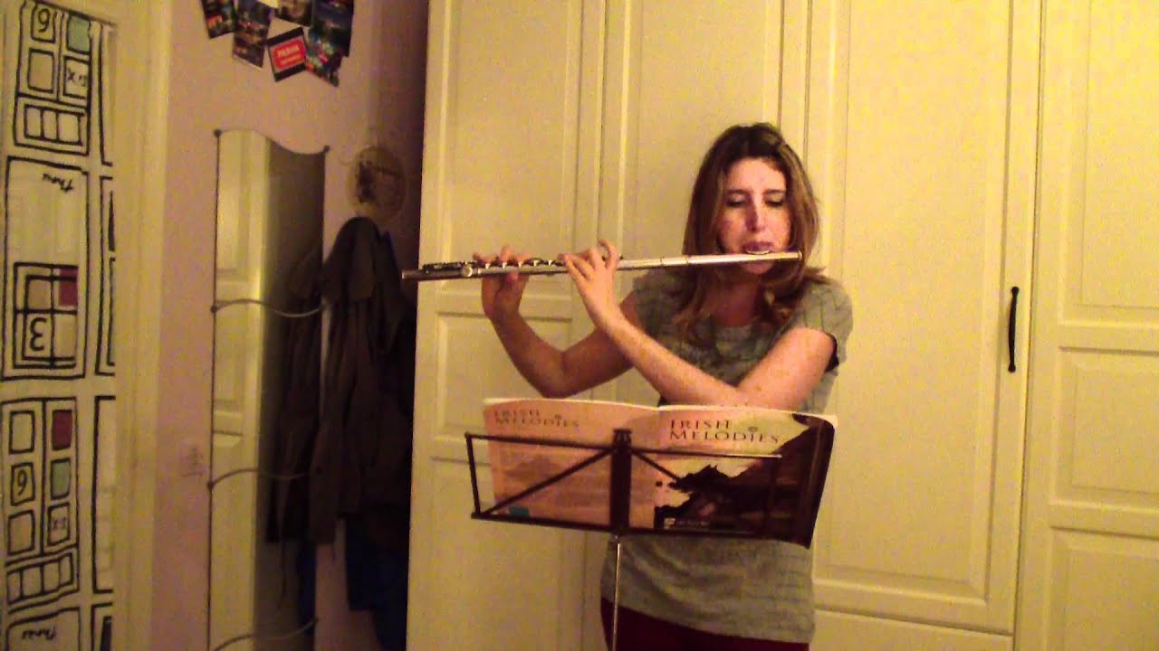 Give Me Your Hand- Flute