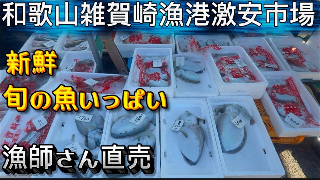 【行かなきゃ損】雑賀崎漁港市場！安すぎる✨和歌山最強の新鮮激安市場🐟
