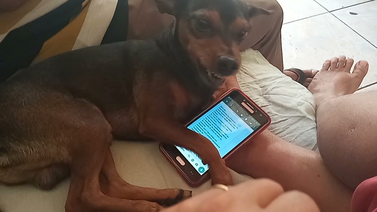 esse  proteja mesmo viu as coisas do dono rsrs