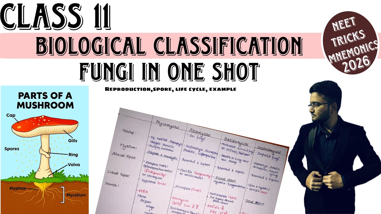 Fungi Made Easy 😍 | NEET Biology Class 11 | 100% Concept + Tricks| 