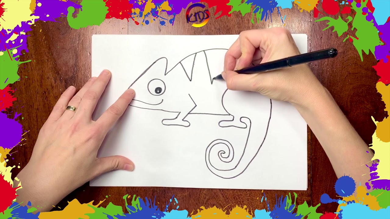 5- Dibuja un Camaleon | Dibujo para niños