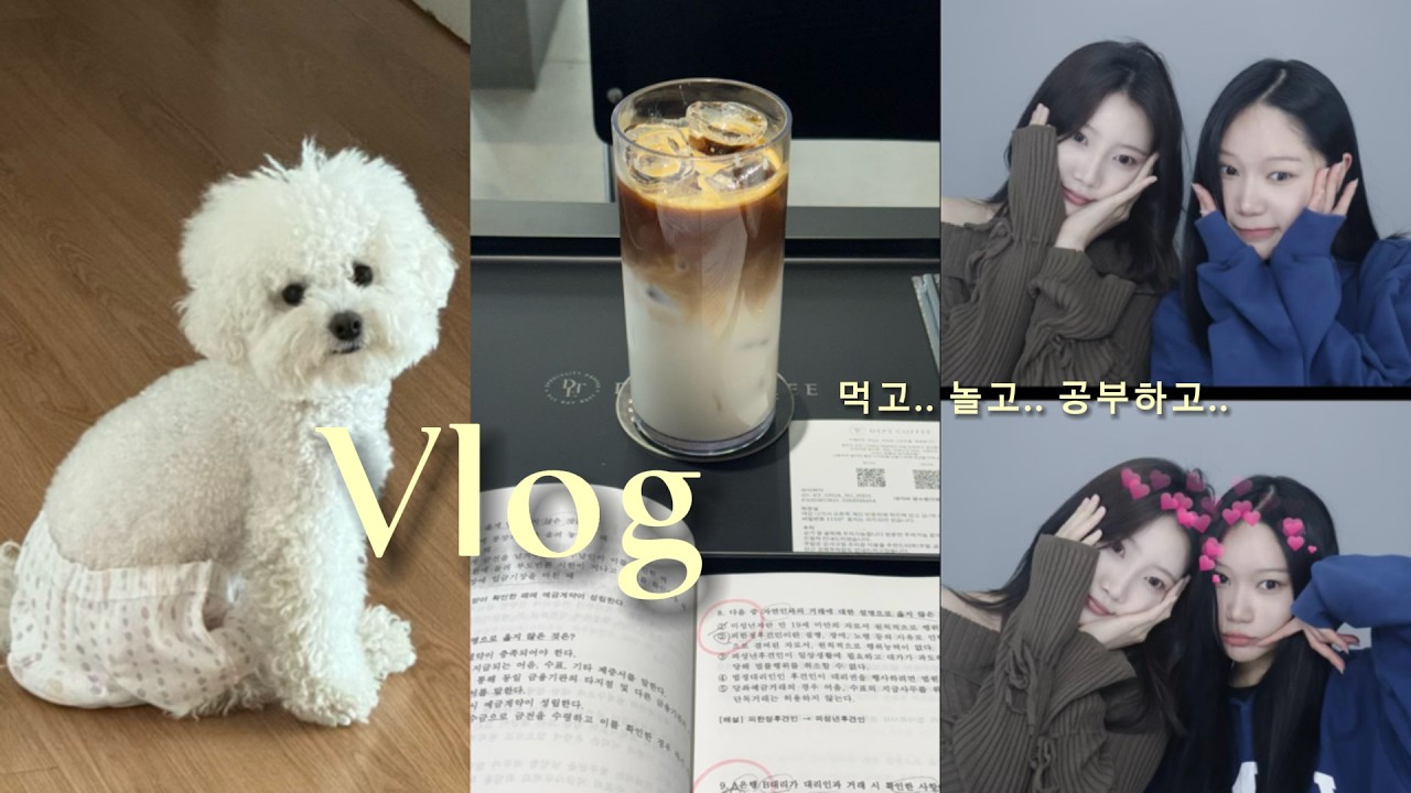 놀고 먹고 공부하는 취준생 vlog | 강서구 맛집 | 행궁동 | 자격증 준비 | 애견카페