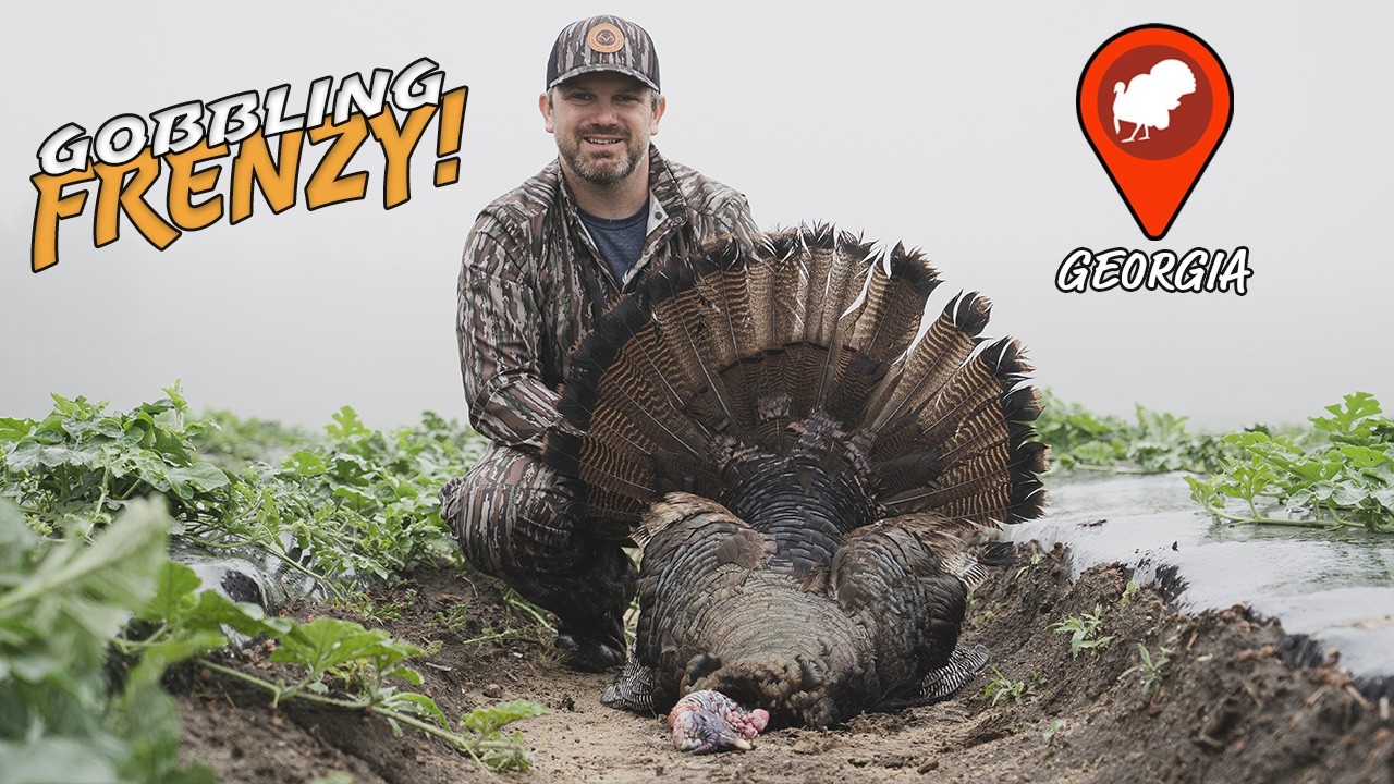 Gobbling MADNESS | Turkey Hunting the Burnt Georgia Pines!