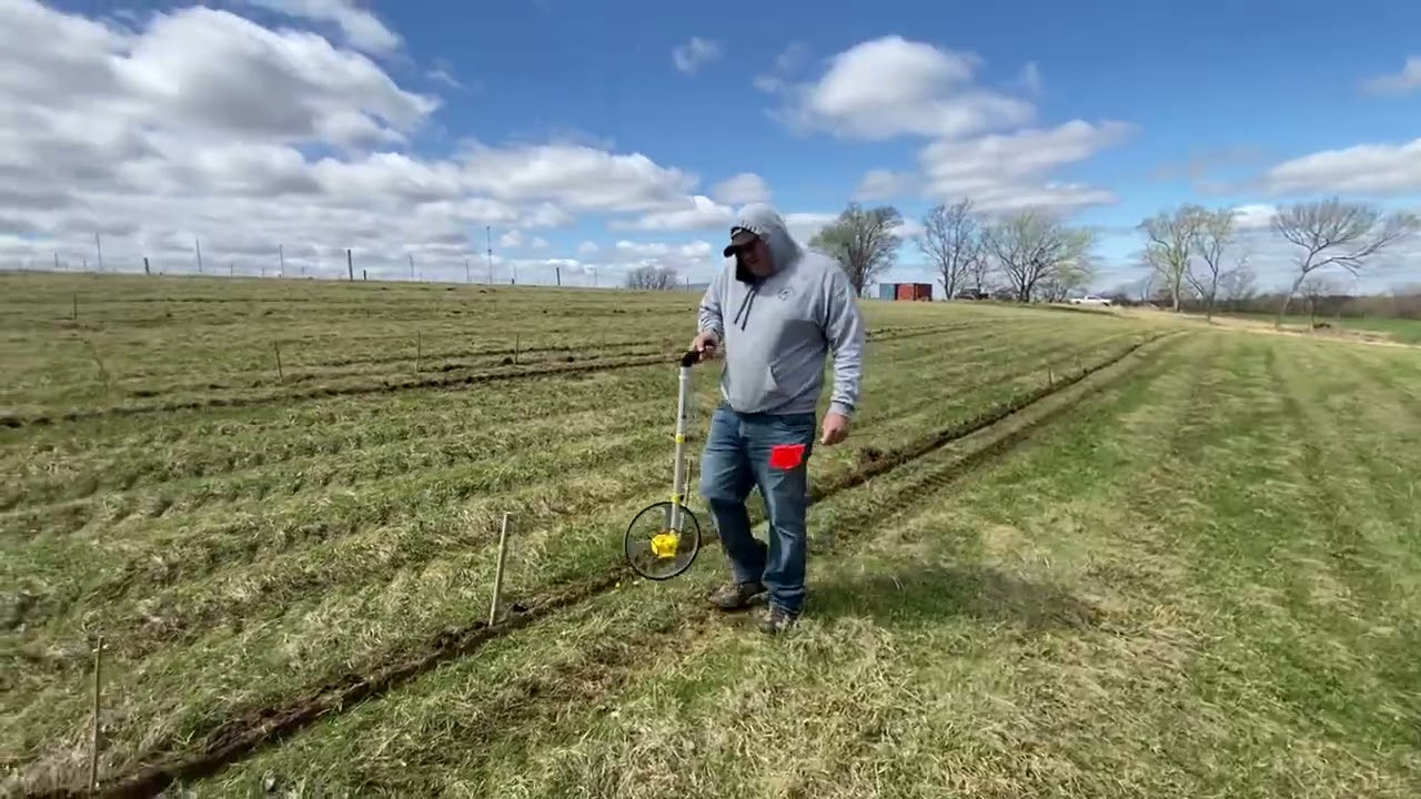 No Till Elderberry Planting In Iowa
