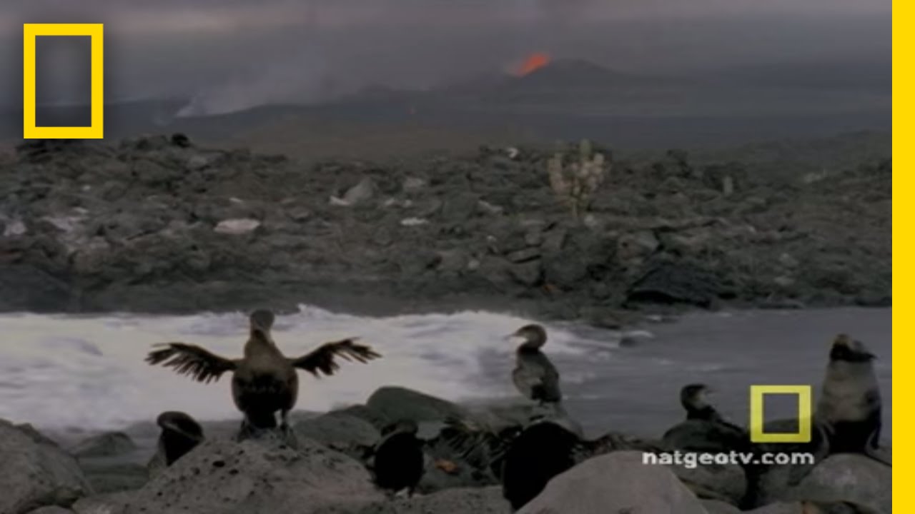 Galapagos | Exploring Oceans