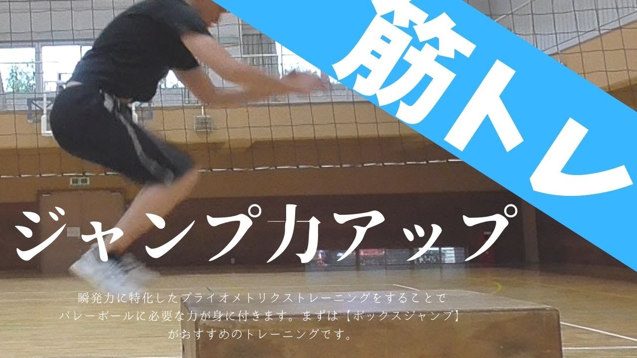 【バレー筋トレ】驚くほどジャンプ力がアップする「プライオメトリクストレーニング」【ボックスジャンプ】