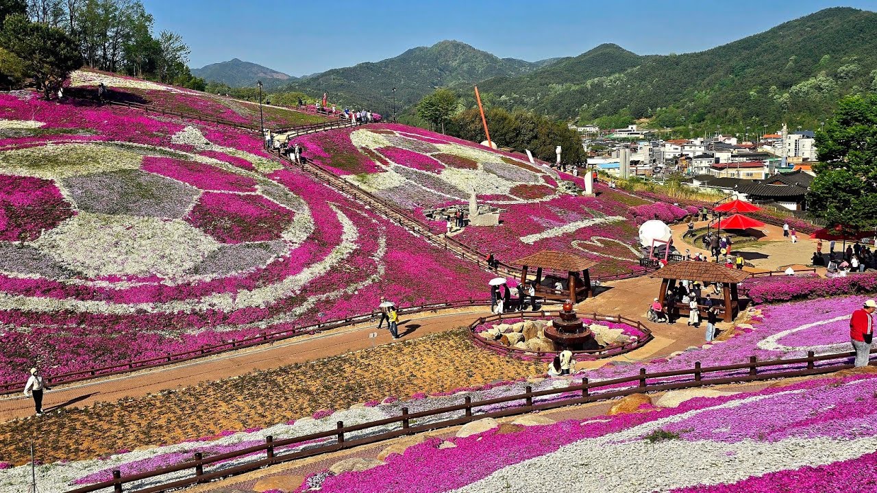 꽃잔디 동산 생초 조각공원