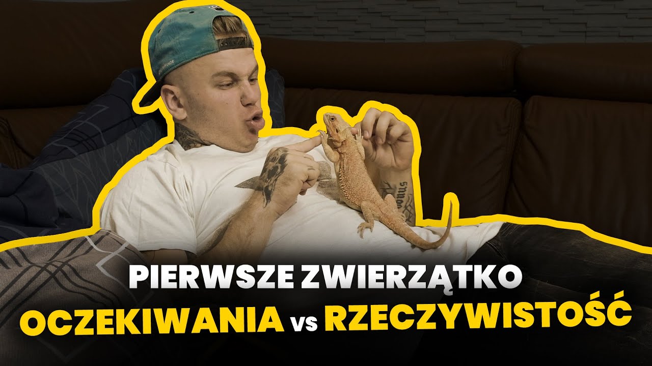 PIERWSZE ZWIERZE - OCZEKIWANIA VS RZECZYWISTOŚĆ