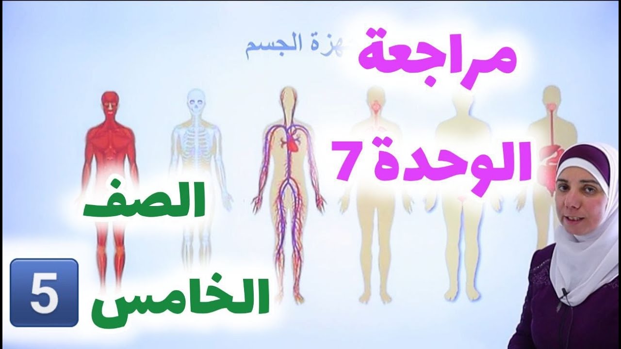 حل أسئلة مراجعة الوحدة السابعة { أجهزة جسم الإنسان } - العلوم - الصف الخامس - الفصل الثاني