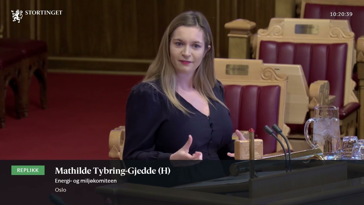 19.12.2024 Sak 2 2 Mathilde Tybring-Gjedde