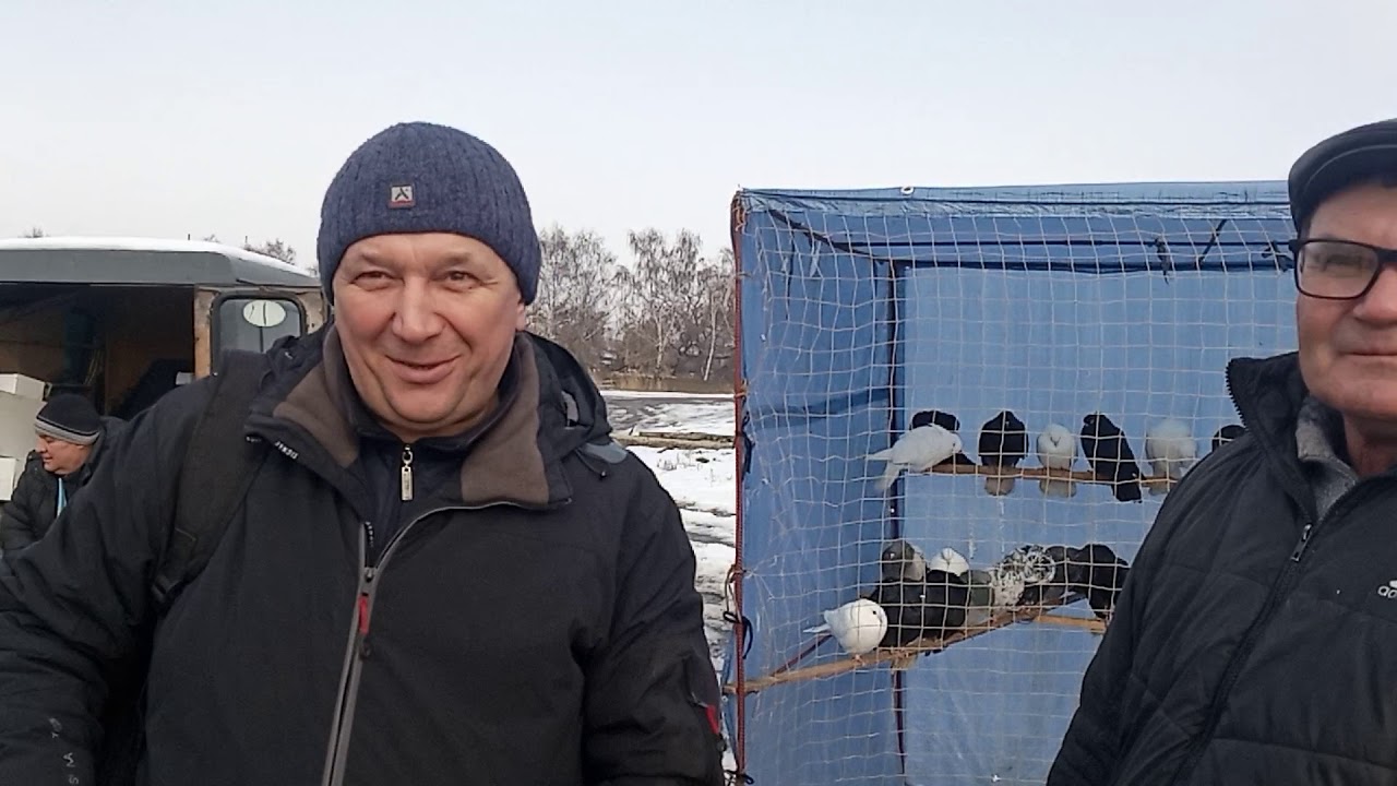 Ярмарка голубей в Харькове гол Юрия Качайло