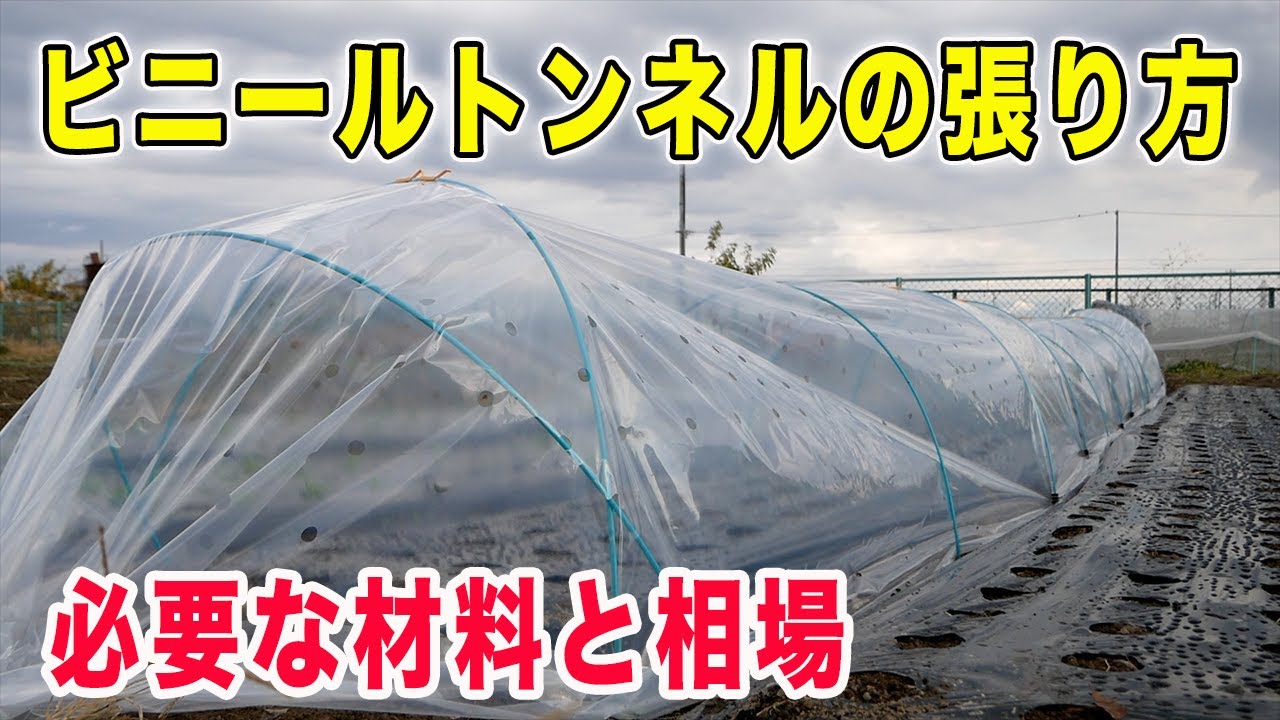 ビニールトンネルの作り方　必要な資材と値段