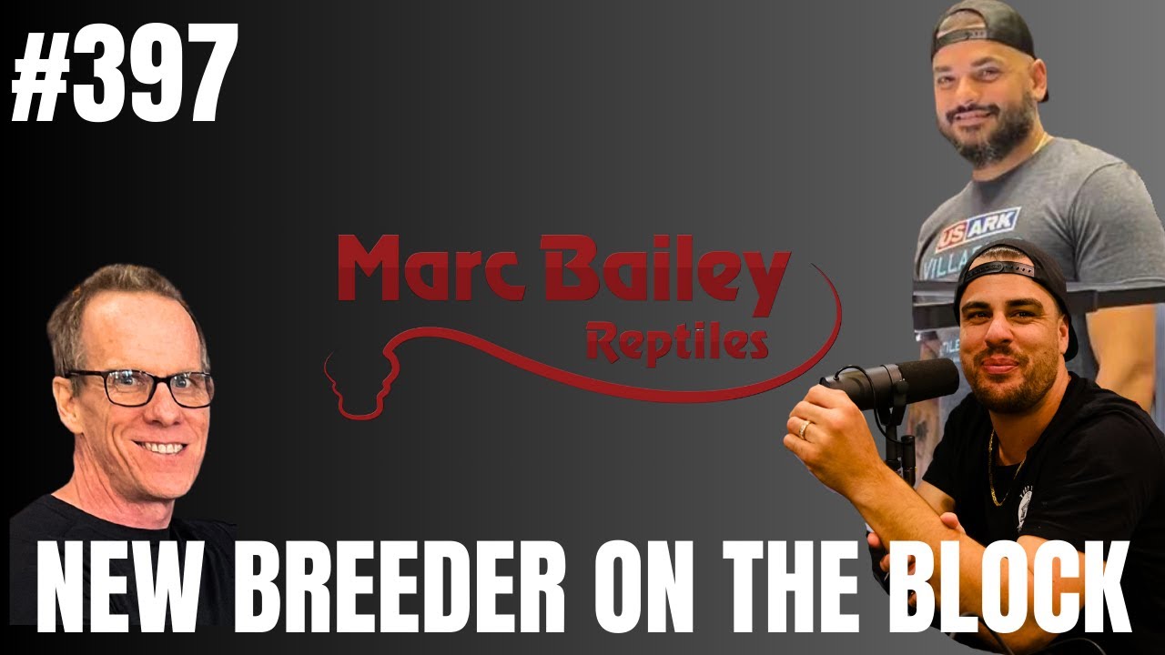 How to successfully breed & make money off rodents