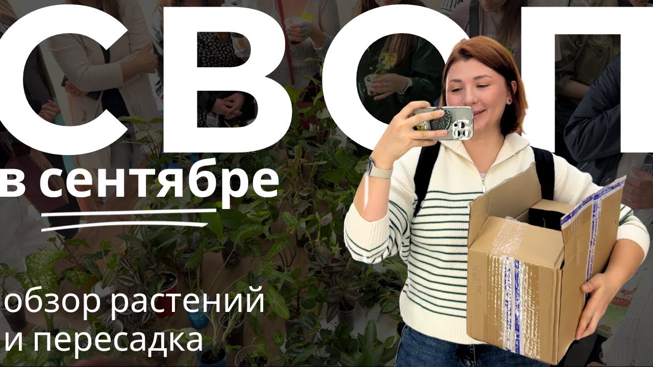 СВОП, обзор растений и пересадка комнатных растений со СВОПа