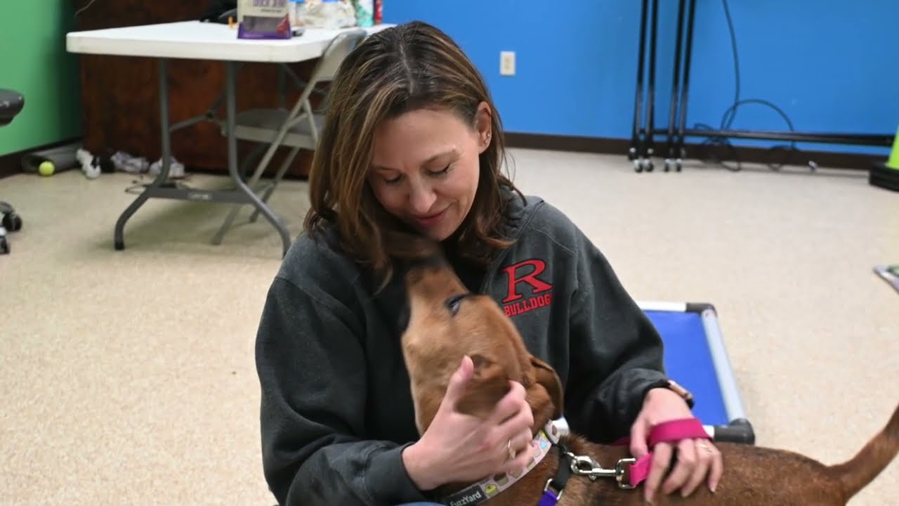 Learning About the Humane Society of Macomb