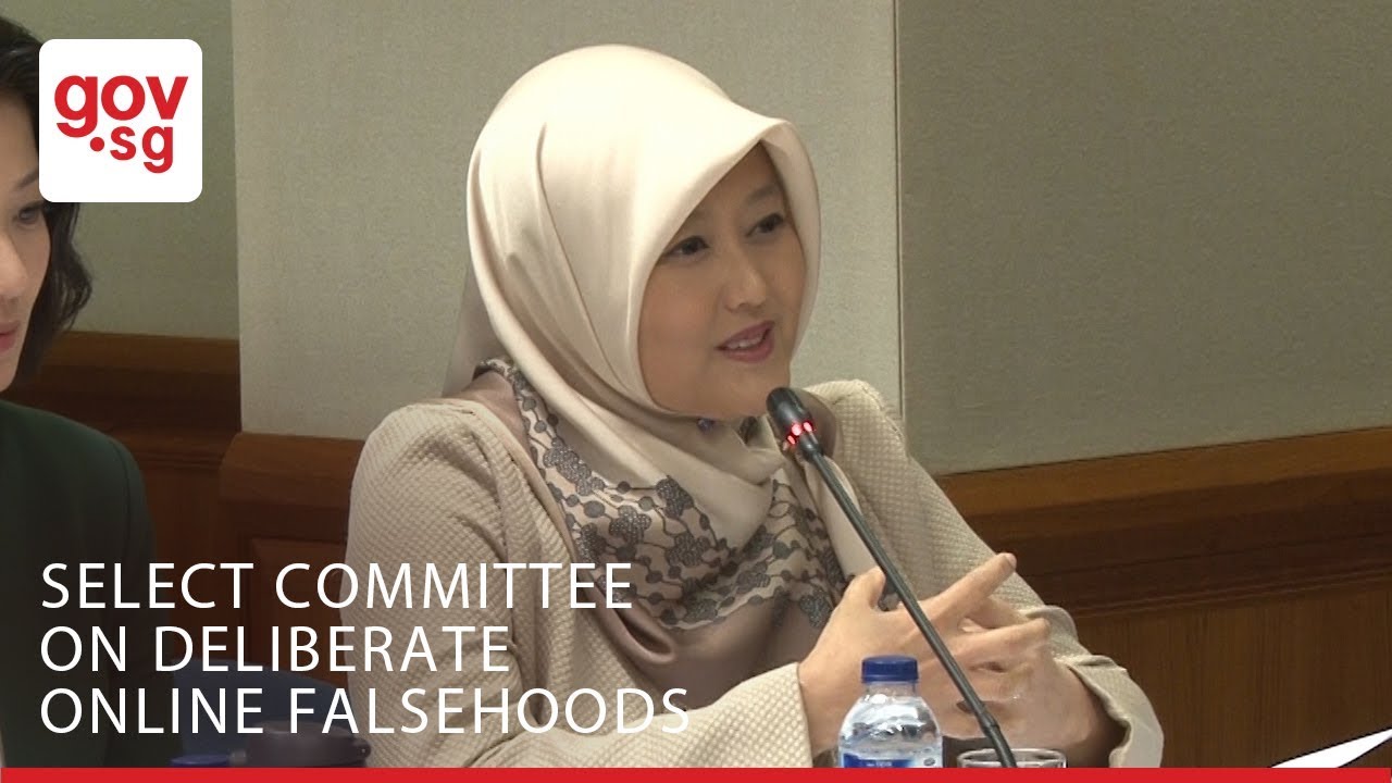MPs Rahayu Mahzam and Seah Kian Peng on using education to counter falsehoods