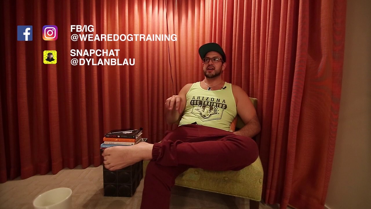Dylan Blau from We Are Dog Training & Arizona Dog Training Asks All Dog Trainers to Unite