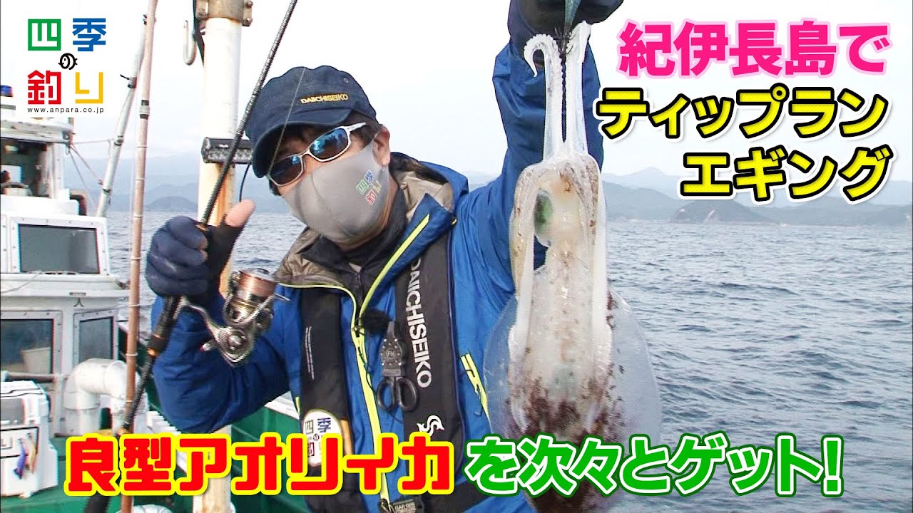 紀伊長島でティップランエギング　良型アオリイカを次々とゲット！（四季の釣り/2021年12月10日）