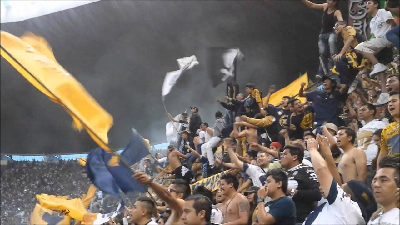 Así vivió La Afición de Pumas su victoria sobre el América