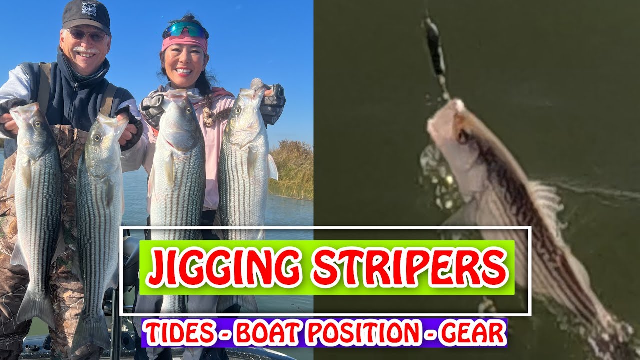 JIGGING STRIPERS for 50 Fish Days (Tides, Boat Positioning, Gear & Tackle)!