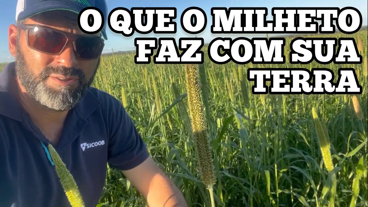 DESCUBRA O QUE ESSA PLANTA FAZ COM SUA TERRA