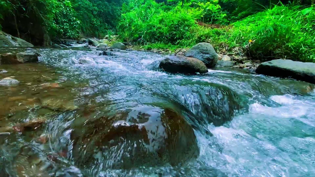 ТЫ УСНЕШЬ ЗА 3 МИНУТЫ! 🌿 Кристально чистая река в тропическом лесу — Глубокий сон ASMR