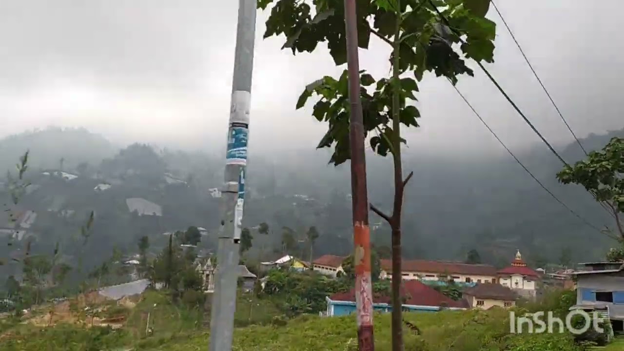 Suasana kebun teh Jenawi Karanganyar | Jawa Tengah #kebunteh #dailylife