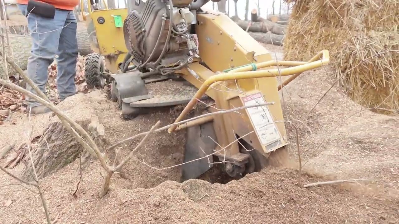 THE FIRST STUMPS OF 2026 WITH OBSTACLES!!