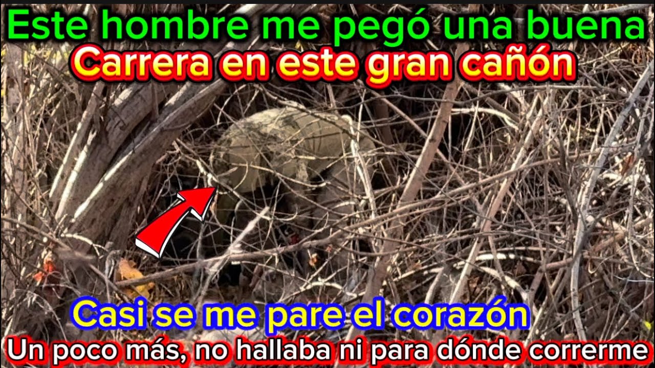 Nunca volveré a este lugar, muy peligroso un poco más, y no lo cuento
