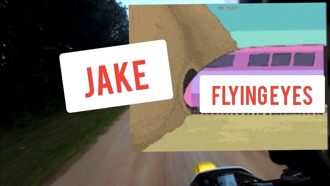 Flying Eyes Glasses Screwed Jake