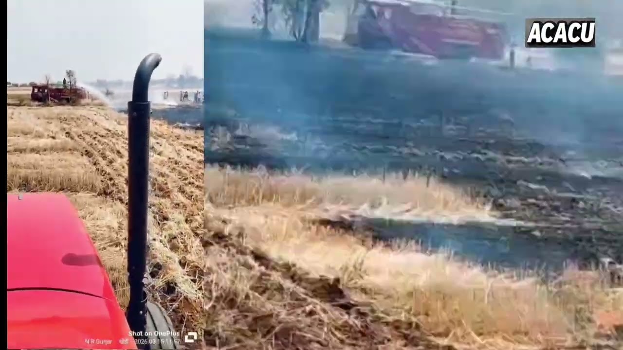 खेड़ी गांव में आग का तांडव! 100 एकड़ फसल जली, किसानों का बड़ा नुकसान