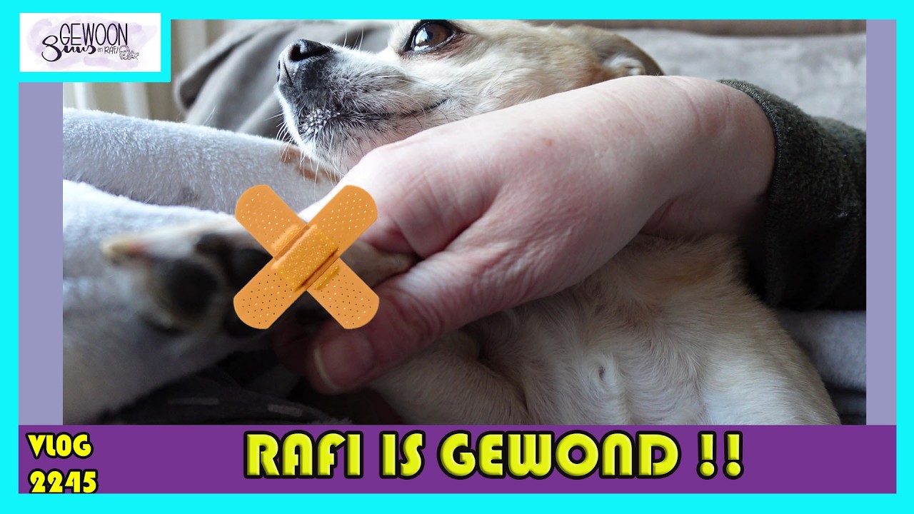 RAFI is GEWOND !! | vlog 2245