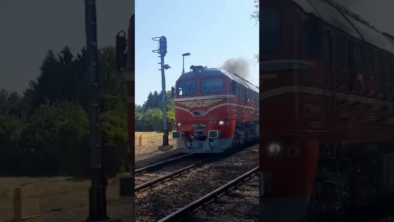 SZALONKOCSIS KORM&Aacute;NYZATI SZERELV&Eacute;NY - R&Eacute;SZLETEK A LINKEN