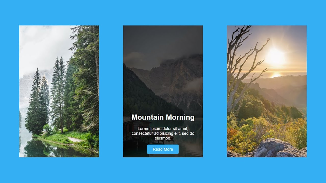 UI Card Hover Effect Using HTML CSS | Ui Card Hover Animation Using CSS