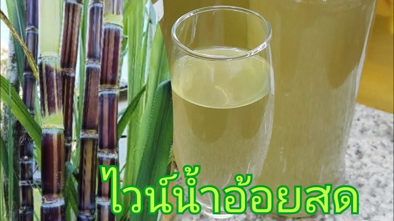 #ไวน์น้ำอ้อยสดFresh sugarcane wine ep.283