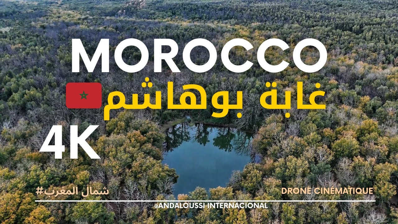شاهد إحدى أجمل وأكبر الغابات في شمال المغرب غابة بوهاشم  من أروع الأماكن الطبيعية | Morocco 🇲🇦 