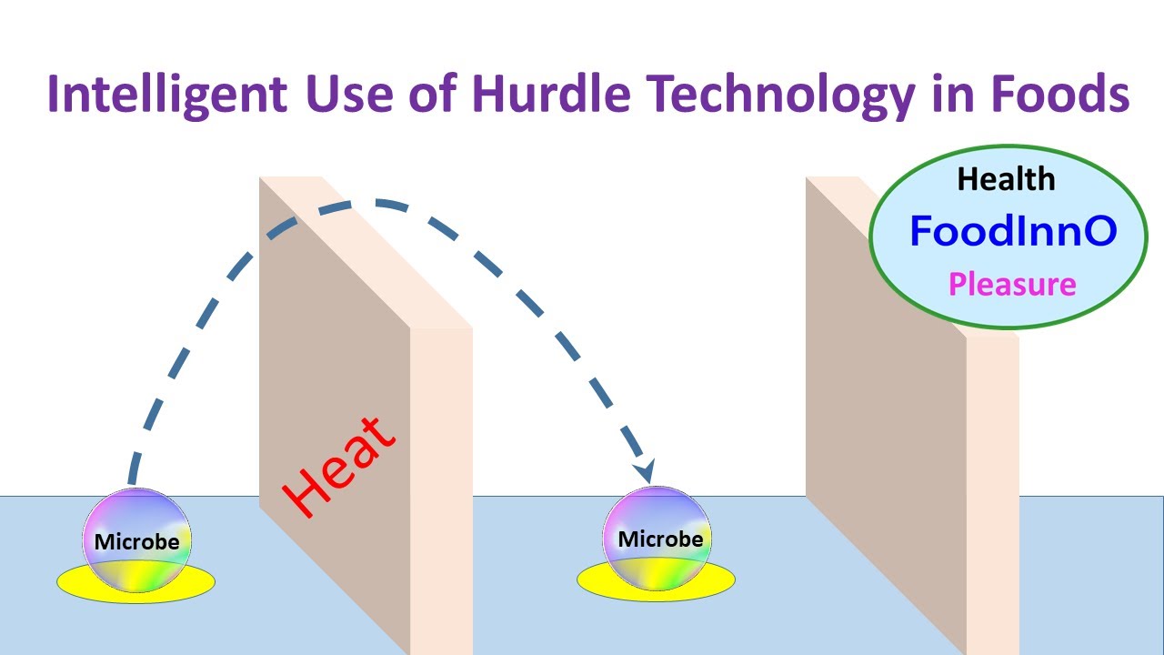 Intelligent Use of Hurdle Technology in Foods
