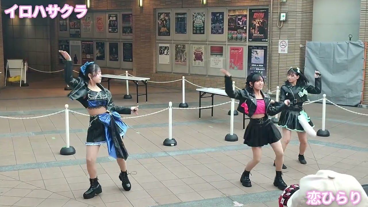 イロハサクラ / 恋ひらり (2026/01/17)