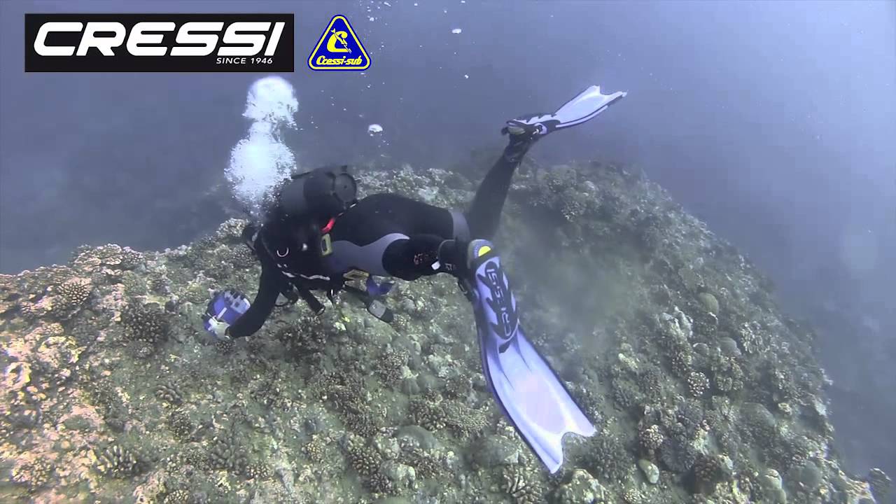 Cressi Frog Plus scuba fins review