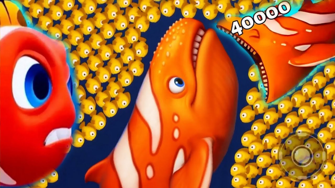 Fishdom 🐠 ads Mini Games 59.6 New update. Hungry fish video gameplay Hadi gaming yt