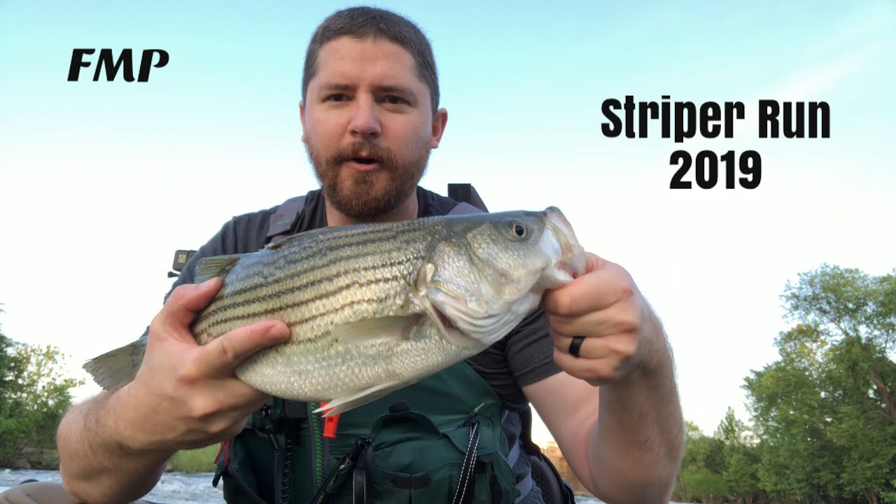 Striper Fishing on the James River