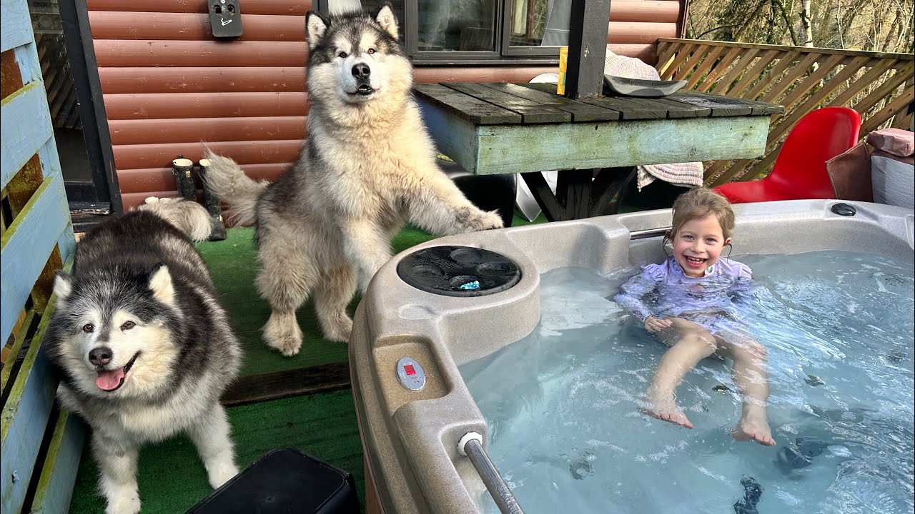 We Took Our Dogs On Holiday! Come On Vacation Vlog!!