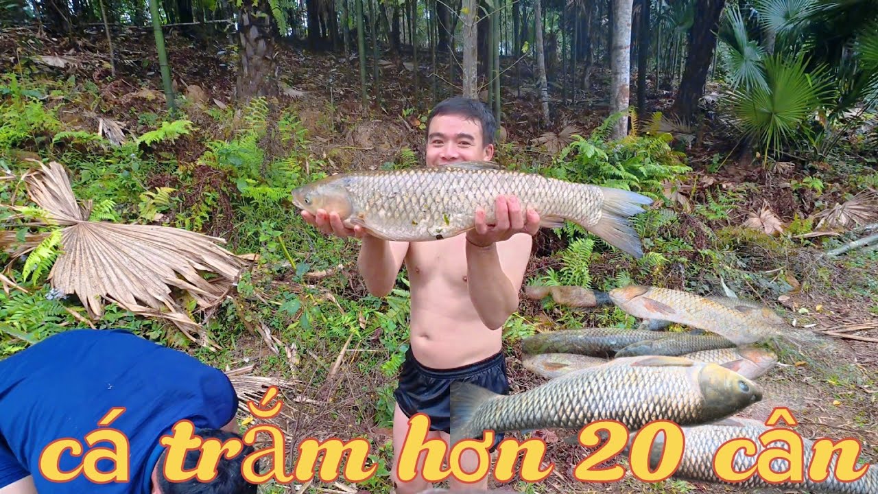 Bắt cá to giữa thời tiết lạnh buốt ,trúng mẻ lớn