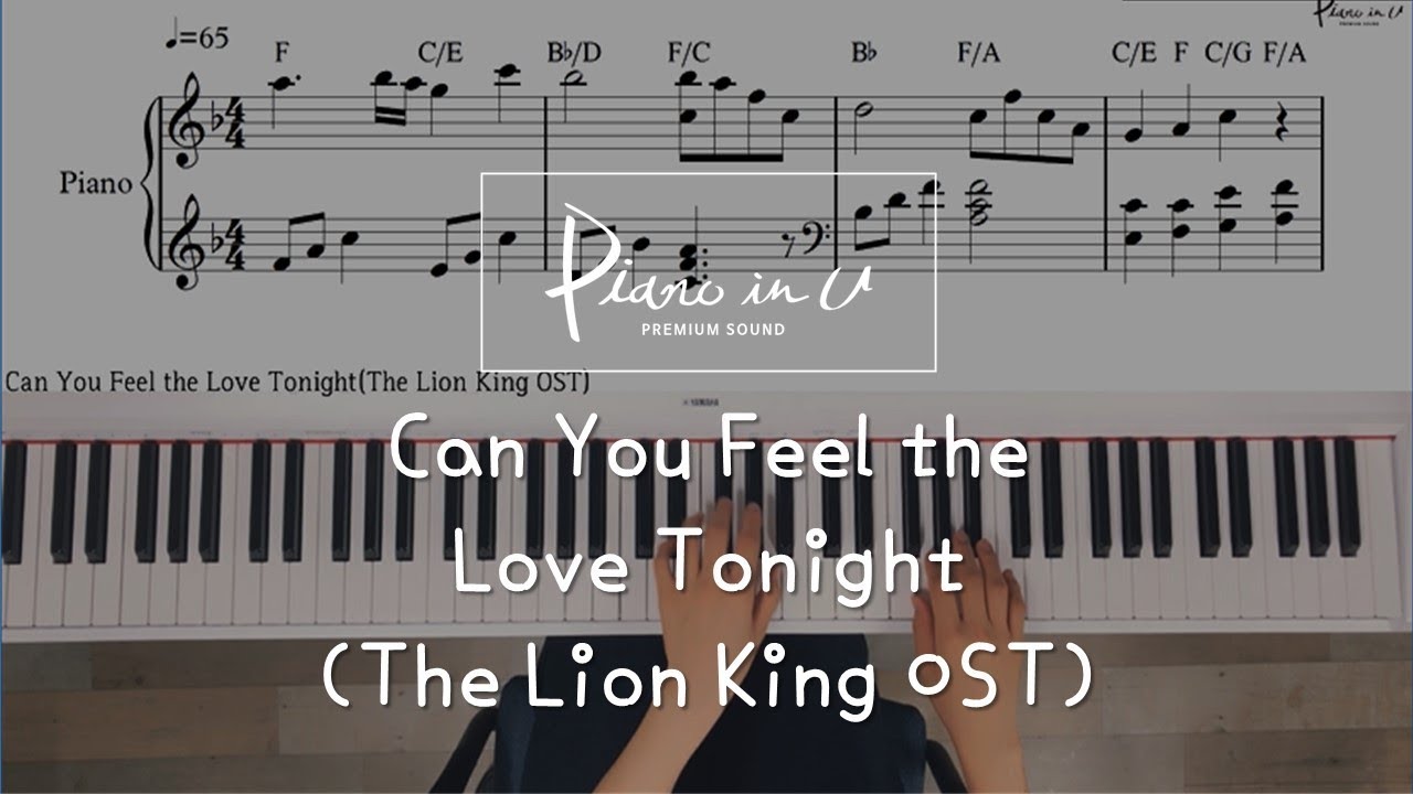 Can You Feel the Love Tonight_(The Lion King OST) Piano cover/Sheet