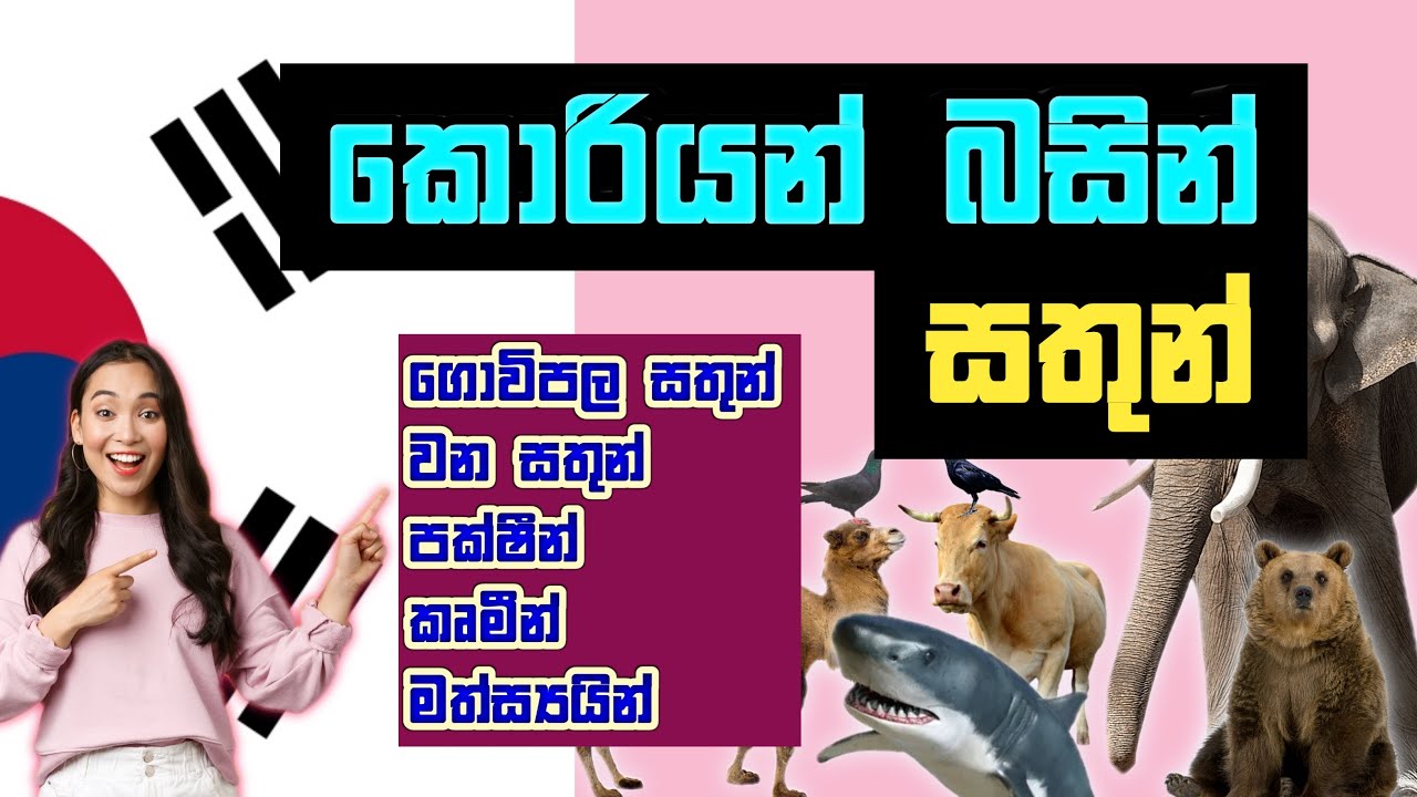 කොරියන් නාම පද / සත්ව නාම / Animals in Korean - Sinhala / EPS Topik Exam / KOREAN SRI