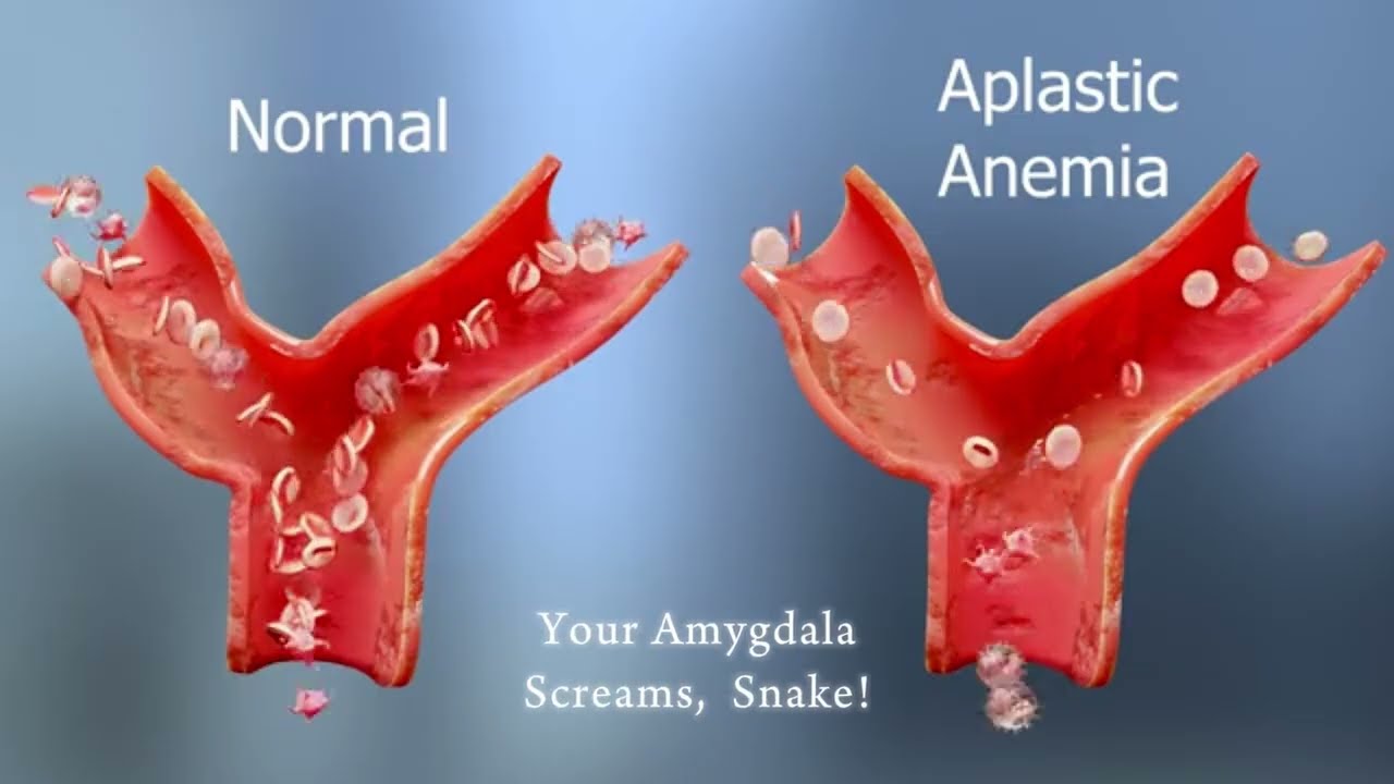The Science of Fear: Why Your Brain Overreacts.